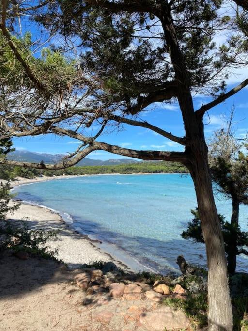 Villa Pacienta Bonifacio  Exteriér fotografie